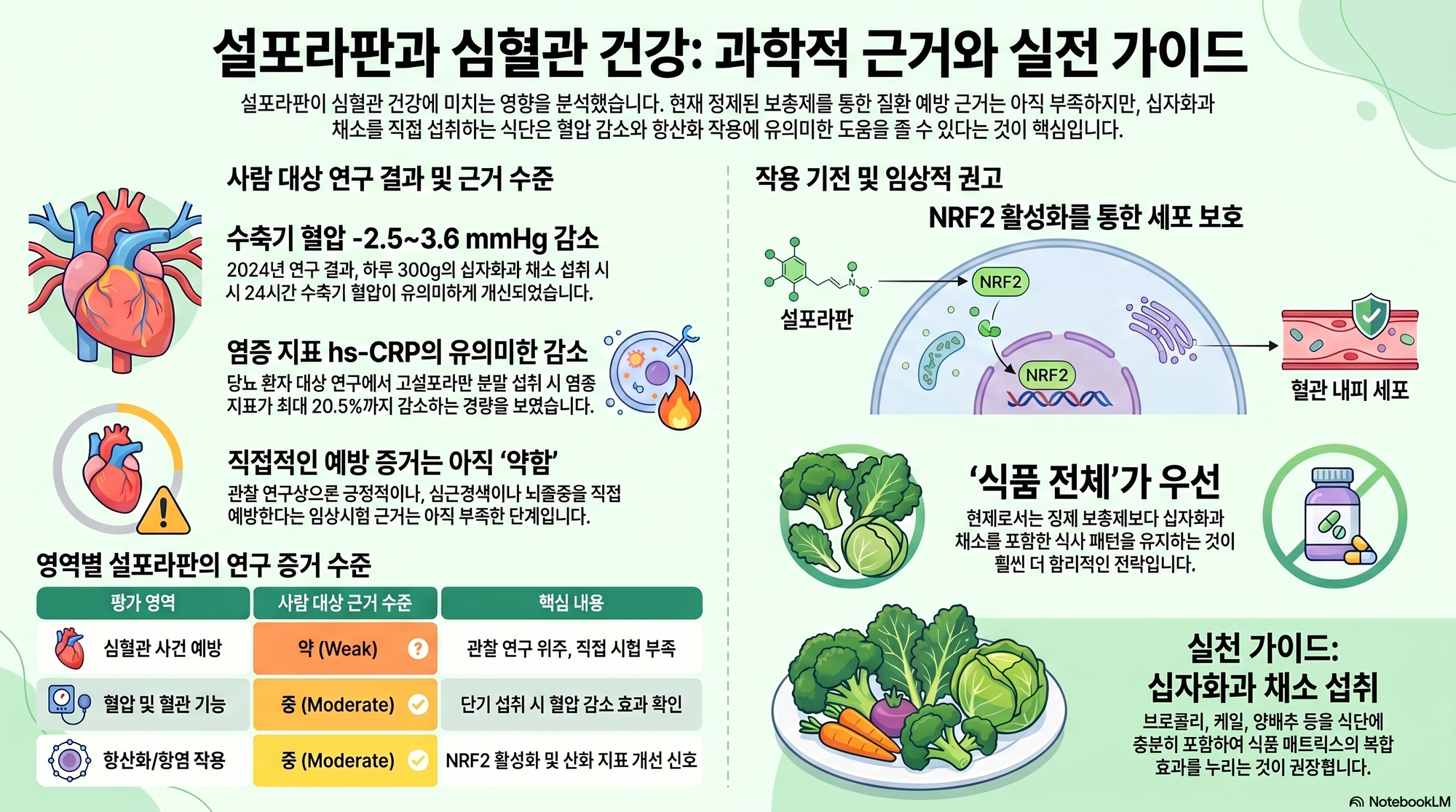 심혈관 설포라판 연구 대표 이미지