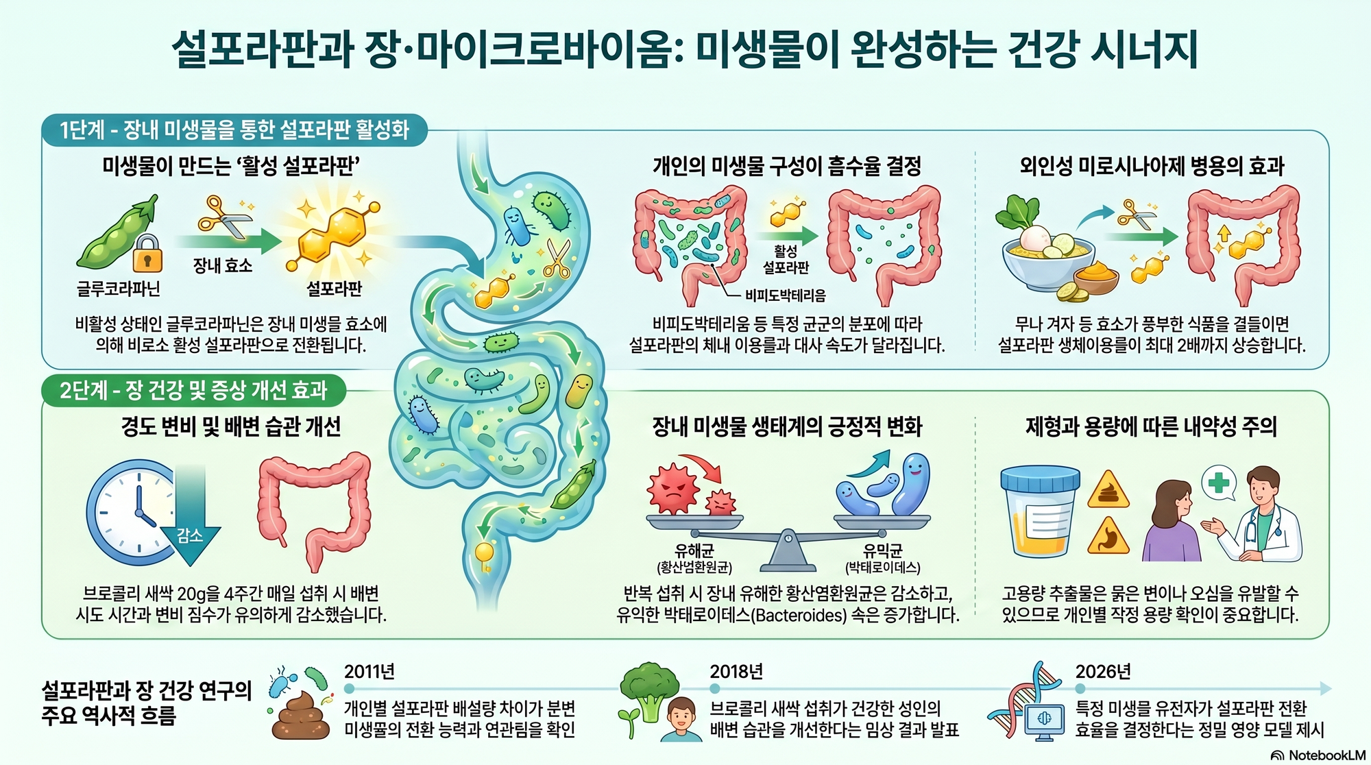 장·마이크로바이옴 설포라판 연구 대표 이미지