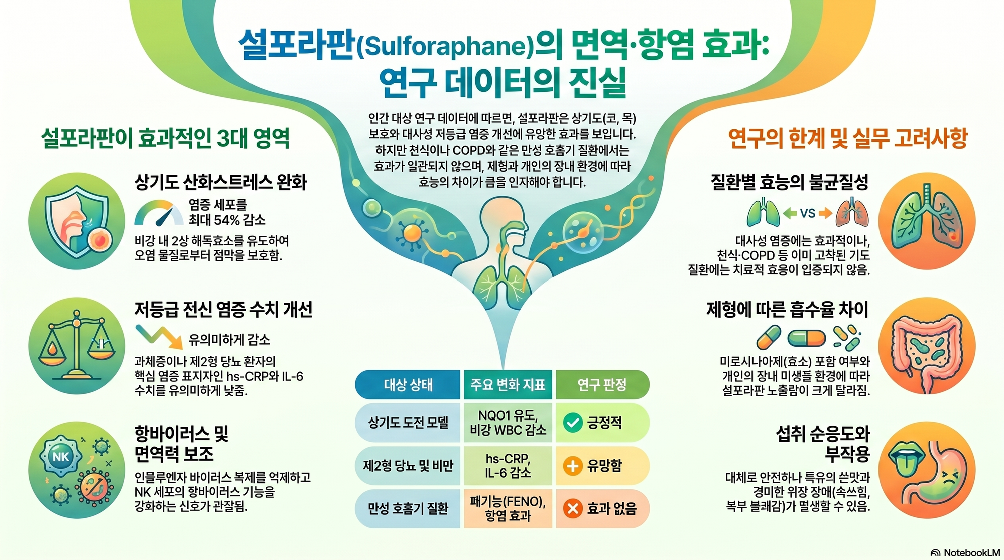 면역·염증 설포라판 연구 대표 이미지