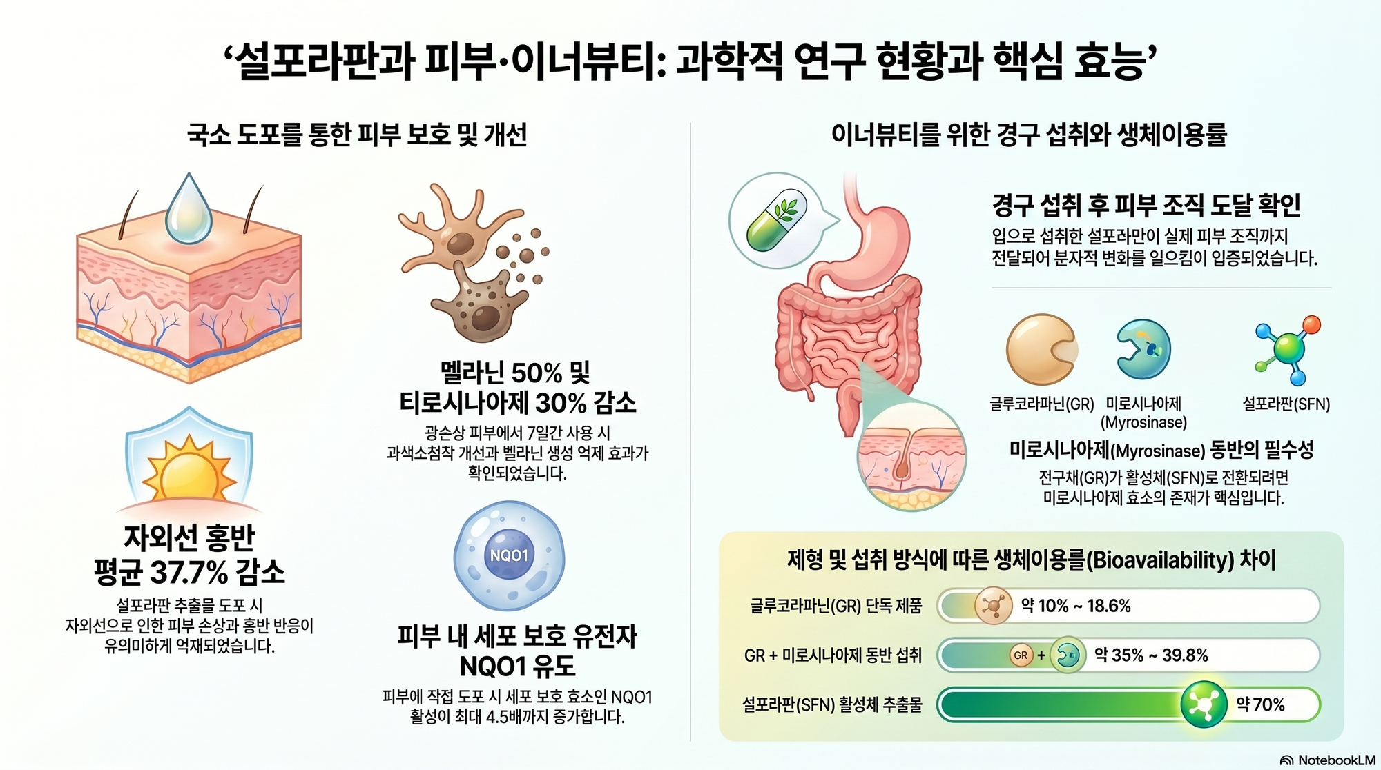 피부 설포라판 연구 대표 이미지