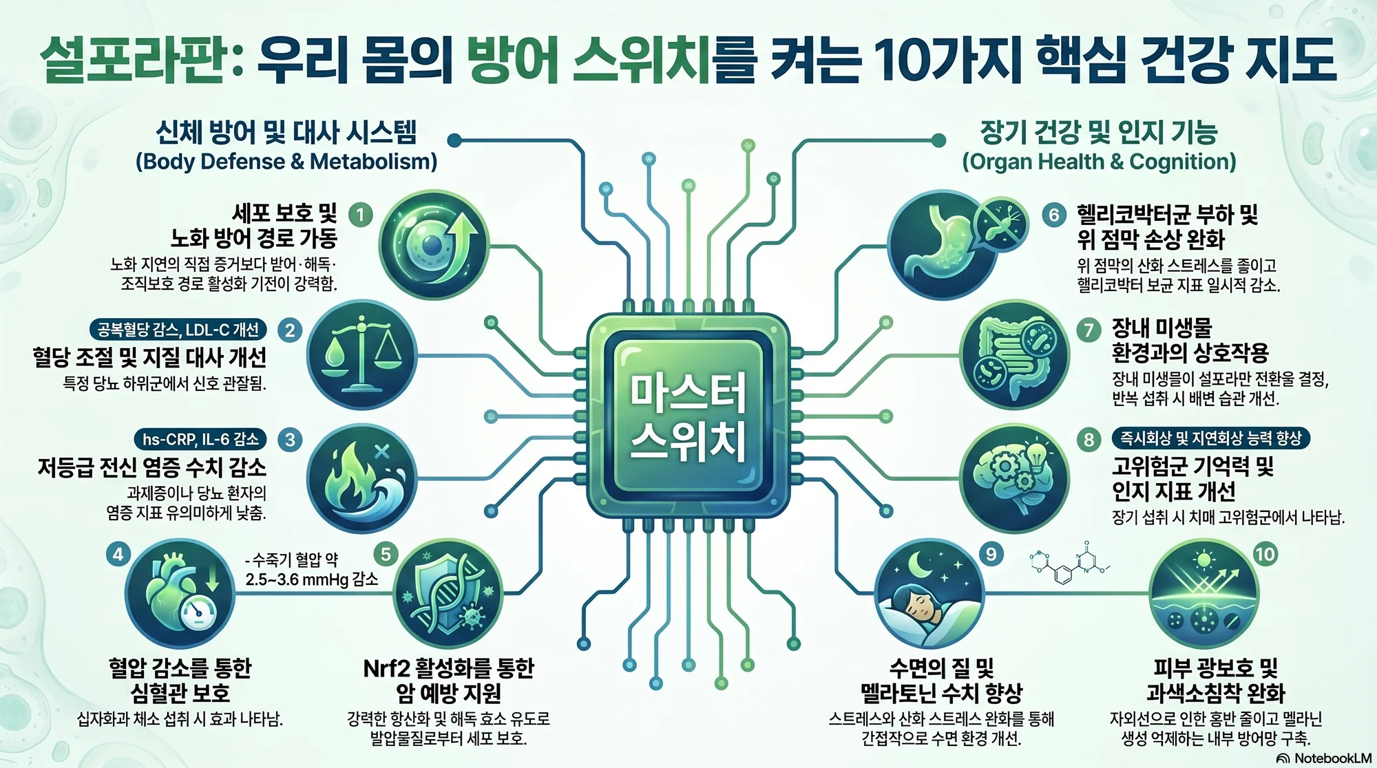 영양·섭취 설포라판 연구 대표 이미지
